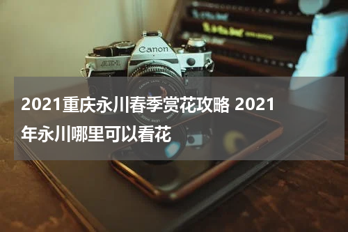 2021重庆永川春季赏花攻略 2021年永川哪里可以看花