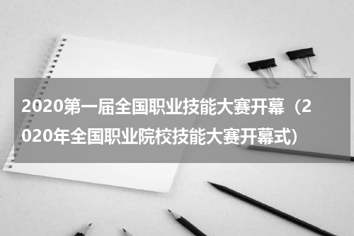 2020第一届全国职业技能大赛开幕（2020年全国职业院校技能大赛开幕式）