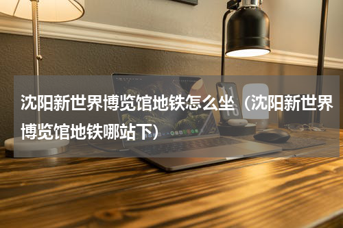 沈阳新世界博览馆地铁怎么坐（沈阳新世界博览馆地铁哪站下）