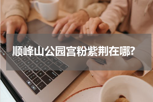 顺峰山公园宫粉紫荆在哪?