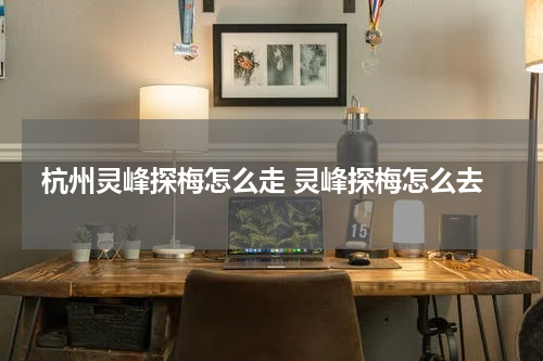 杭州灵峰探梅怎么走 灵峰探梅怎么去