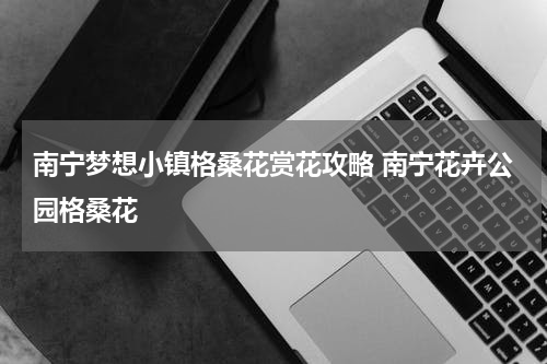 南宁梦想小镇格桑花赏花攻略 南宁花卉公园格桑花