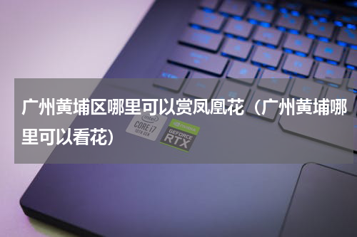 广州黄埔区哪里可以赏凤凰花（广州黄埔哪里可以看花）