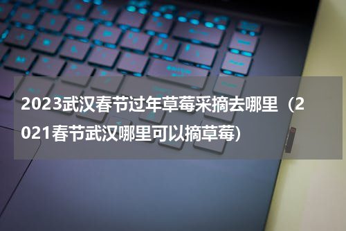 2023武汉春节过年草莓采摘去哪里（2021春节武汉哪里可以摘草莓）