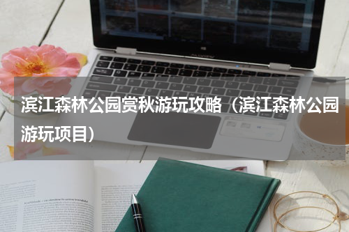 滨江森林公园赏秋游玩攻略（滨江森林公园游玩项目）