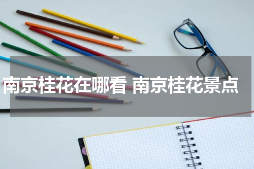 南京桂花在哪看 南京桂花景点