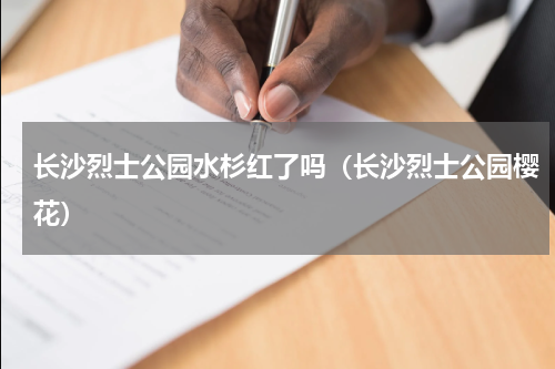 长沙烈士公园水杉红了吗（长沙烈士公园樱花）