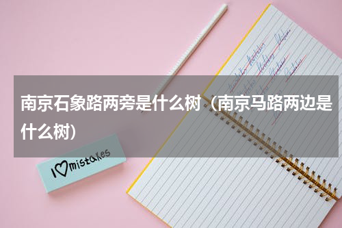 南京石象路两旁是什么树（南京马路两边是什么树）