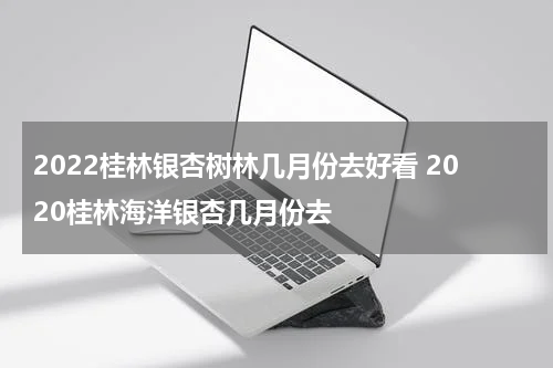 2022桂林银杏树林几月份去好看 2020桂林海洋银杏几月份去