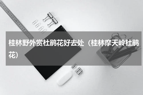 桂林野外赏杜鹃花好去处（桂林摩天岭杜鹃花）