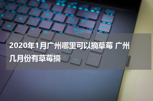 2020年1月广州哪里可以摘草莓 广州几月份有草莓摘