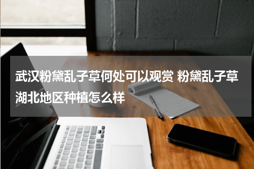 武汉粉黛乱子草何处可以观赏 粉黛乱子草湖北地区种植怎么样