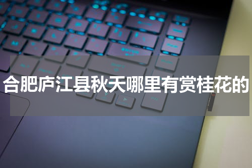 合肥庐江县秋天哪里有赏桂花的