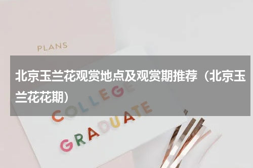 北京玉兰花观赏地点及观赏期推荐（北京玉兰花花期）