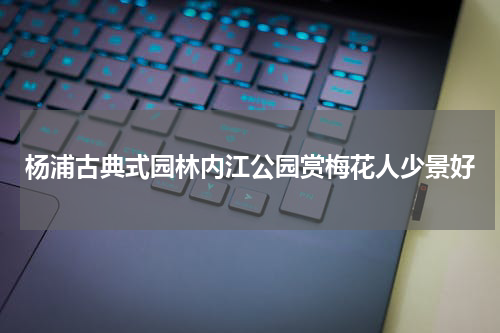 杨浦古典式园林内江公园赏梅花人少景好