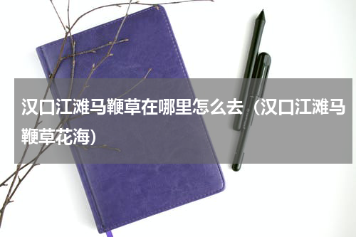 汉口江滩马鞭草在哪里怎么去（汉口江滩马鞭草花海）