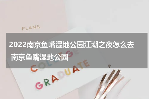2022南京鱼嘴湿地公园江潮之夜怎么去 南京鱼嘴湿地公园