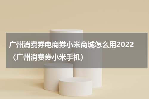 广州消费券电商券小米商城怎么用2022（广州消费券小米手机）