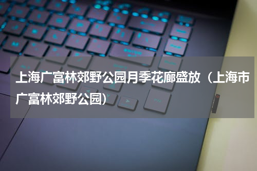 上海广富林郊野公园月季花廊盛放（上海市广富林郊野公园）