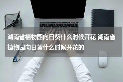 湖南省植物园向日葵什么时候开花 湖南省植物园向日葵什么时候开花的