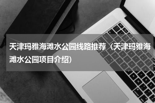 天津玛雅海滩水公园线路推荐（天津玛雅海滩水公园项目介绍）