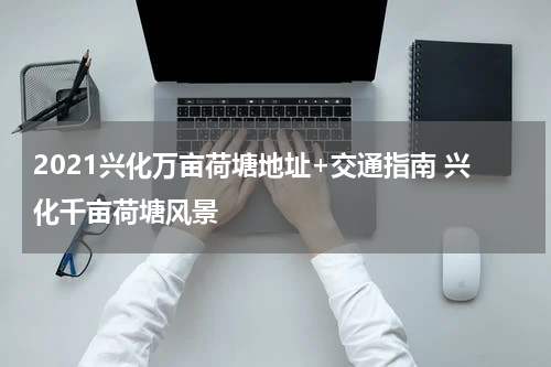 2021兴化万亩荷塘地址+交通指南 兴化千亩荷塘风景