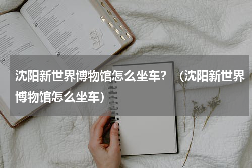 沈阳新世界博物馆怎么坐车？（沈阳新世界博物馆怎么坐车）