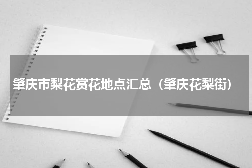 肇庆市梨花赏花地点汇总（肇庆花梨街）
