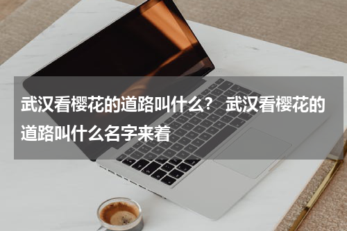 武汉看樱花的道路叫什么？ 武汉看樱花的道路叫什么名字来着