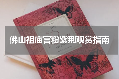 佛山祖庙宫粉紫荆观赏指南