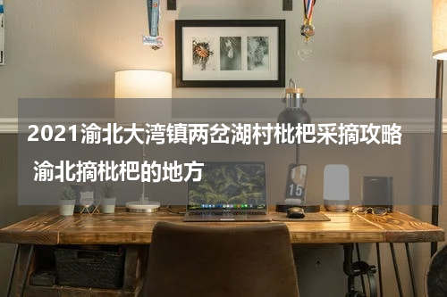 2021渝北大湾镇两岔湖村枇杷采摘攻略 渝北摘枇杷的地方