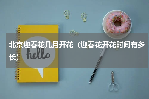 北京迎春花几月开花（迎春花开花时间有多长）