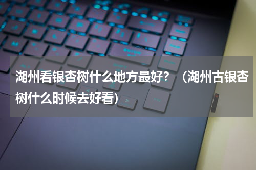 湖州看银杏树什么地方最好？（湖州古银杏树什么时候去好看）