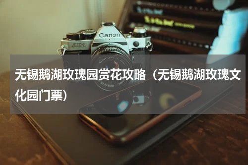 无锡鹅湖玫瑰园赏花攻略（无锡鹅湖玫瑰文化园门票）