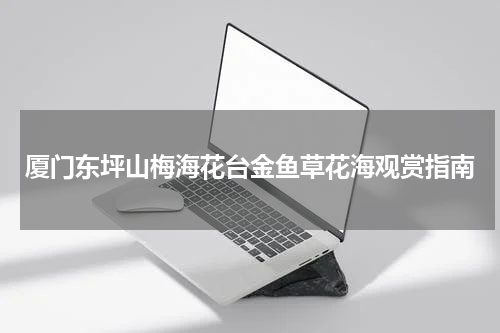 厦门东坪山梅海花台金鱼草花海观赏指南