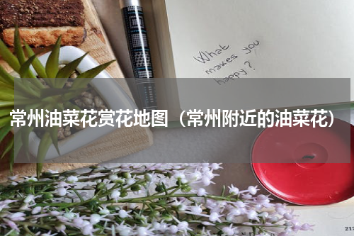 常州油菜花赏花地图（常州附近的油菜花）