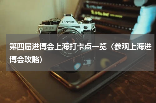 第四届进博会上海打卡点一览（参观上海进博会攻略）