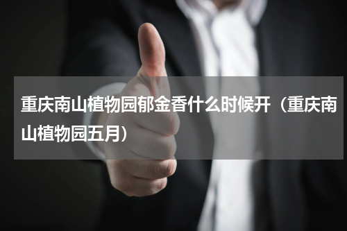 重庆南山植物园郁金香什么时候开（重庆南山植物园五月）