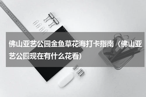 佛山亚艺公园金鱼草花海打卡指南（佛山亚艺公园现在有什么花看）