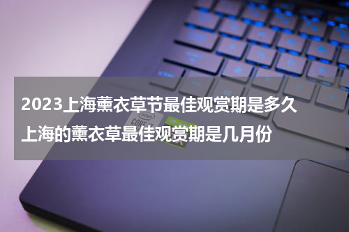 2023上海薰衣草节最佳观赏期是多久 上海的薰衣草最佳观赏期是几月份