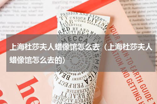 上海杜莎夫人蜡像馆怎么去（上海杜莎夫人蜡像馆怎么去的）