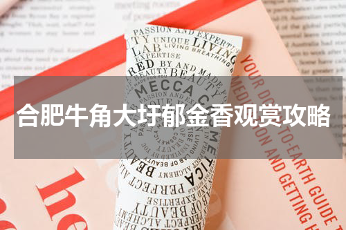 合肥牛角大圩郁金香观赏攻略