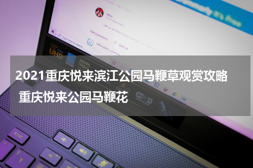 2021重庆悦来滨江公园马鞭草观赏攻略 重庆悦来公园马鞭花