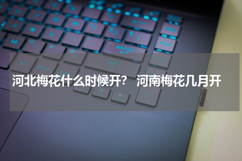河北梅花什么时候开？ 河南梅花几月开