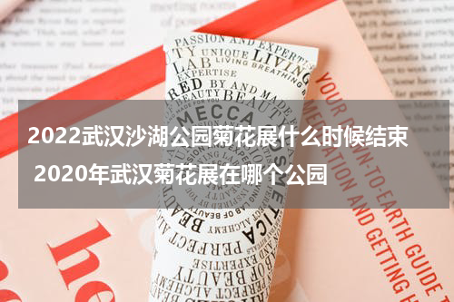 2022武汉沙湖公园菊花展什么时候结束 2020年武汉菊花展在哪个公园