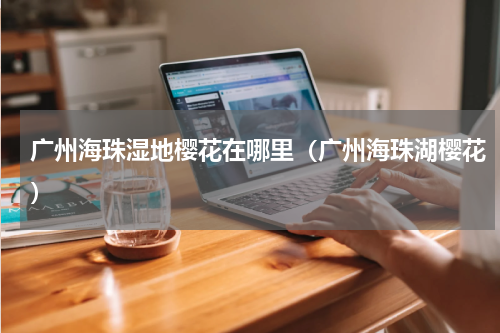 广州海珠湿地樱花在哪里（广州海珠湖樱花）