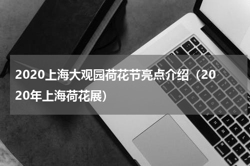 2020上海大观园荷花节亮点介绍（2020年上海荷花展）
