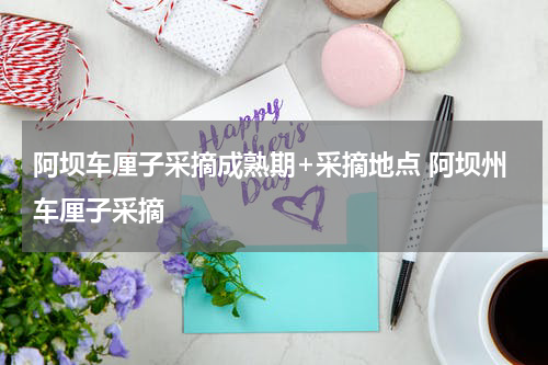 阿坝车厘子采摘成熟期+采摘地点 阿坝州车厘子采摘