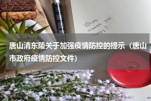唐山清东陵关于加强疫情防控的提示（唐山市政府疫情防控文件）