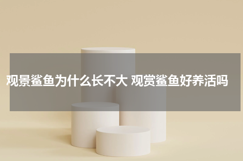 观景鲨鱼为什么长不大 观赏鲨鱼好养活吗